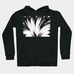 Fan shaped abstract in black and white Hoodie